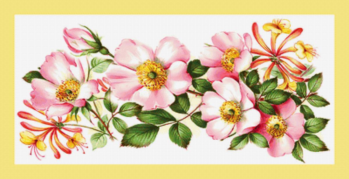 Серия "Розы". Панелька, шиповник - флора, розы, цветы, шиповник - предпросмотр