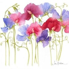 Схема вышивки «Душистый горошек»