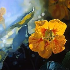 Схема вышивки «Nasturca»