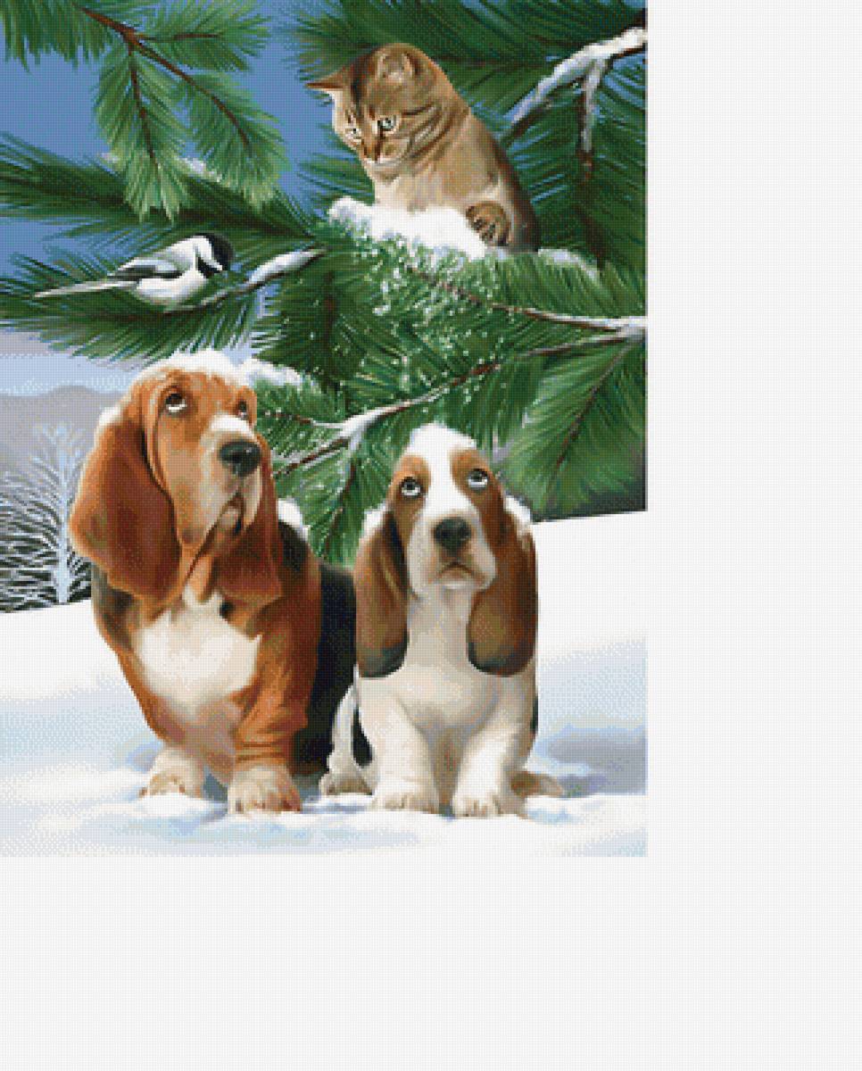 Друзья. - собаки, животные, зима, птицы, снег, кот - предпросмотр