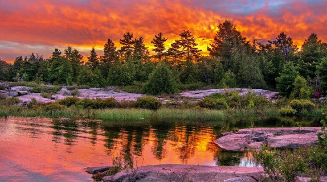 №1981310 - оригинал