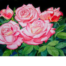 Схема вышивки «Розы.»