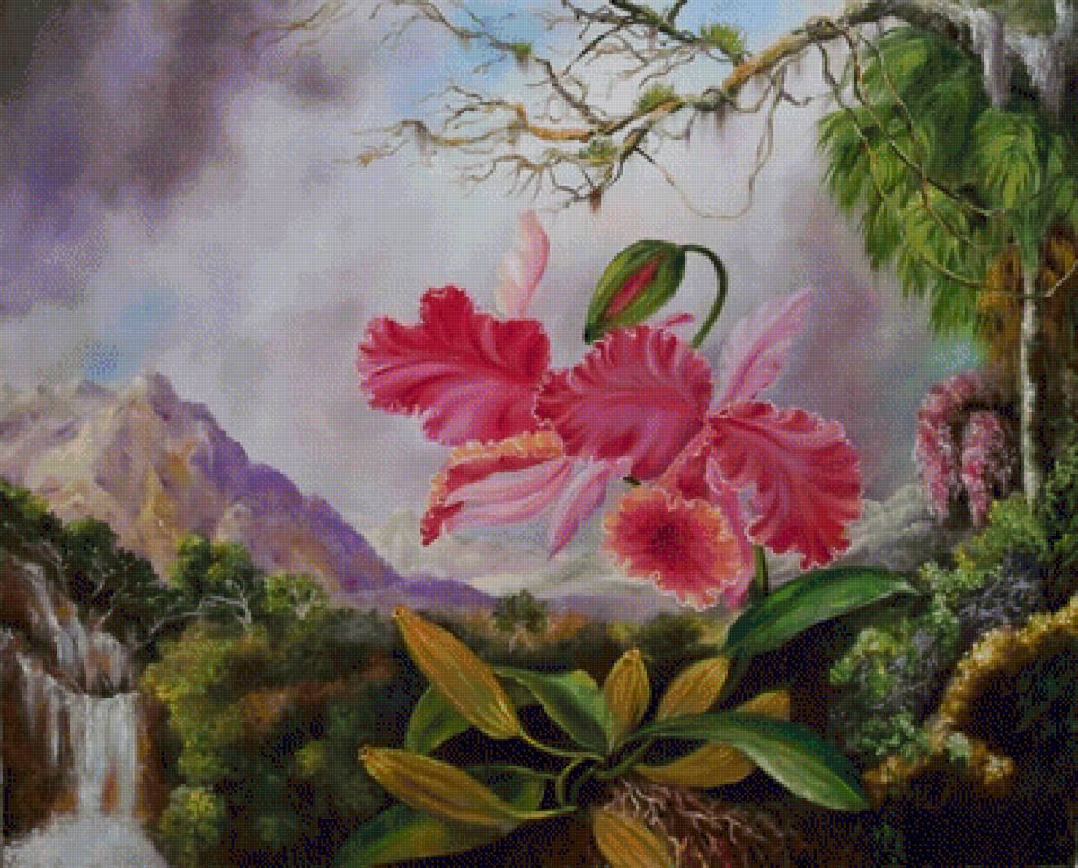 Орхидея - орхидея.картинa - предпросмотр