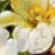 Предпросмотр схемы вышивки «Букет цветов» (№1981413)