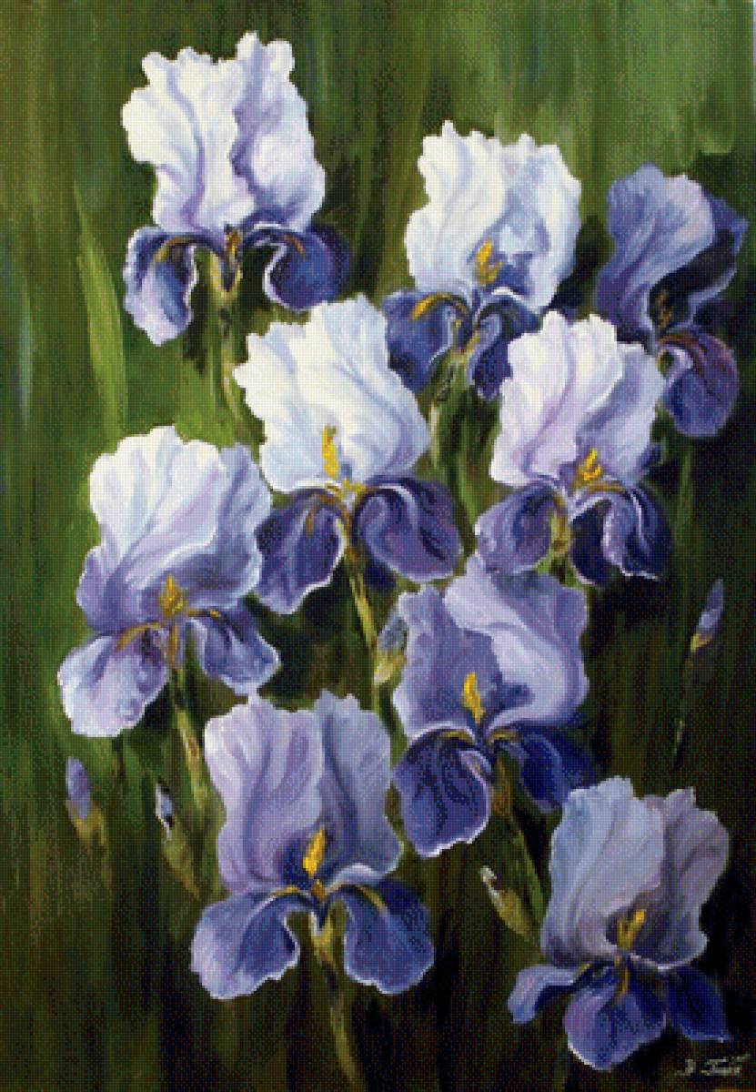 Ирисы - живопись, цветы, ирисы - предпросмотр
