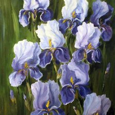 Схема вышивки «Ирисы»