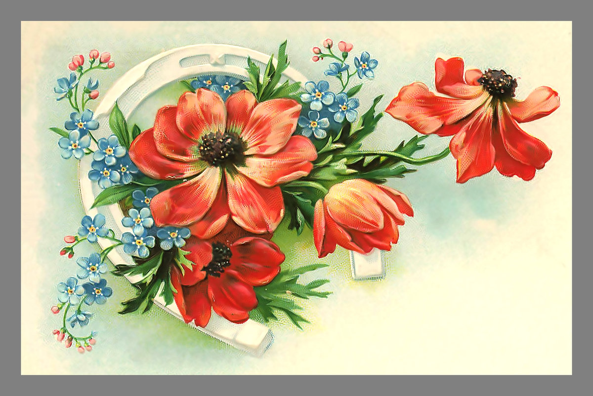 Серия "Винтаж". Анемоны - цветы, флора, анемоны - оригинал