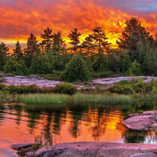 Схема вышивки «№1981523»