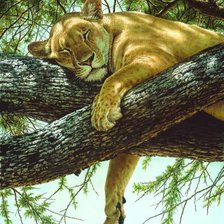 Схема вышивки «№1981572»