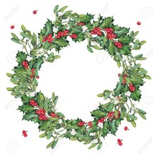 Схема вышивки «iuliug»