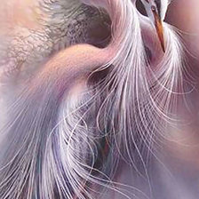 Схема вышивки «Цапли.»