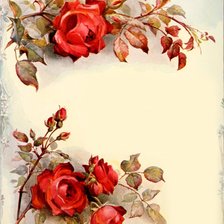 Схема вышивки «Розы»