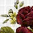 Предпросмотр схемы вышивки «Розы» (№1981767)