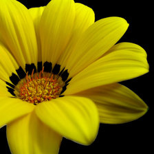 Схема вышивки «№1981889»