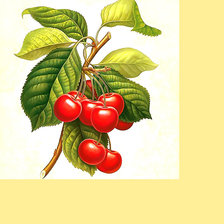 Схема вышивки «Серия "Фруктово-ягодная". Черешня»