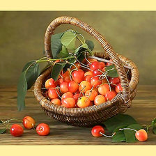 Схема вышивки «Серия "Фруктово-ягодная". Черешня»