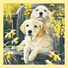 Схема вышивки «Серия "Собаки". Щенки»