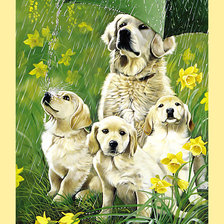 Схема вышивки «Серия "Собаки".»