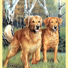 Схема вышивки «Серия "Собаки".»