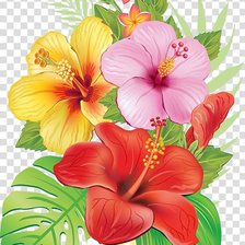 Схема вышивки «kvety»