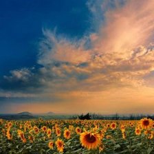 Схема вышивки «№1982045»