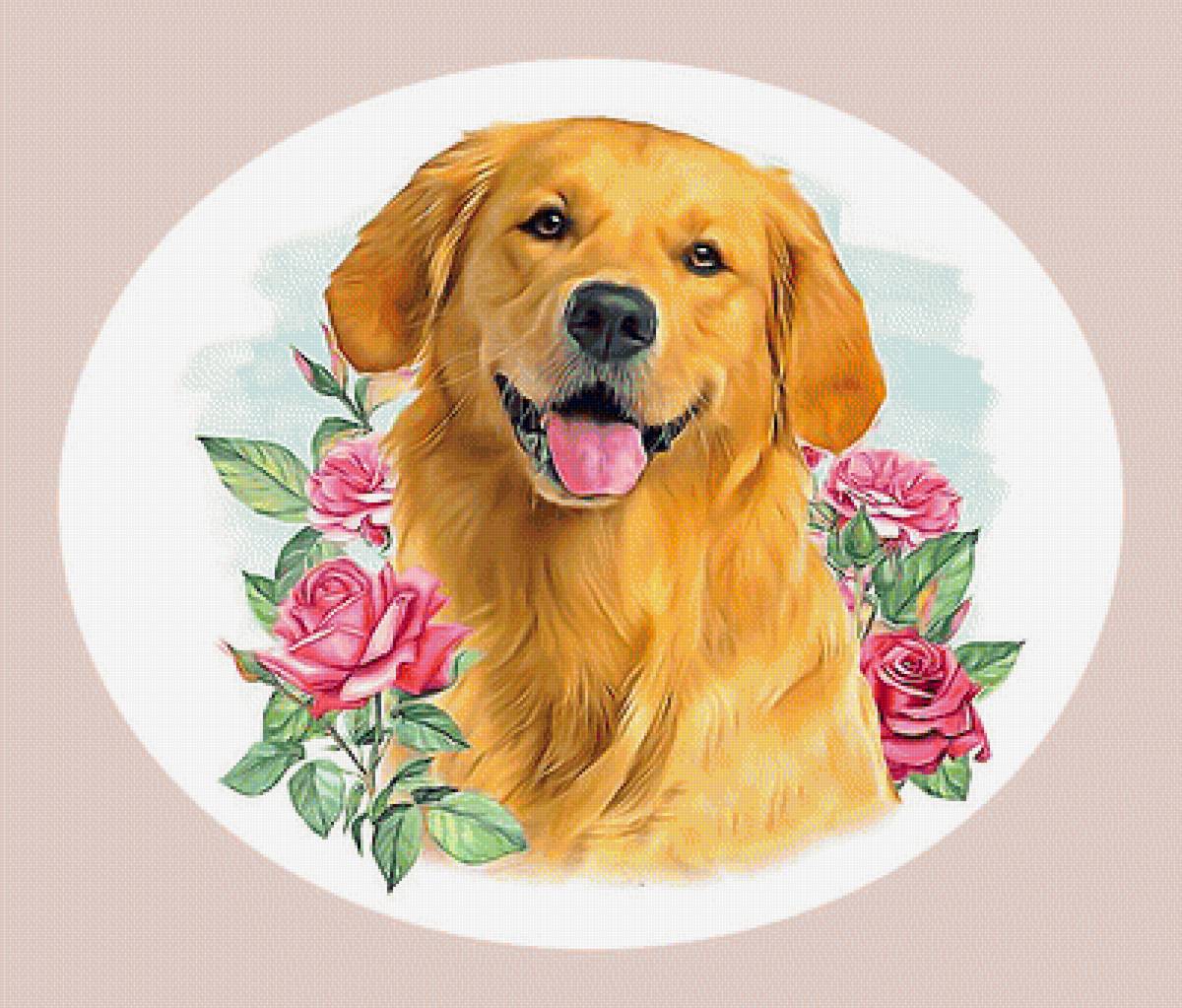 Серия "Собаки". - животные, собаки - предпросмотр