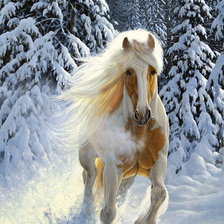 Схема вышивки «№1982111»