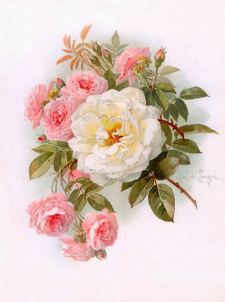 БУКЕТ - красивые картинки - оригинал