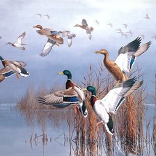 Схема вышивки «№1982292»