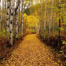 Схема вышивки «№1982407»