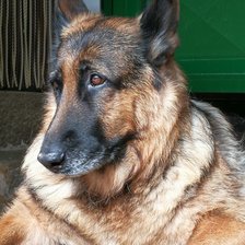 Схема вышивки «Sahira 2»