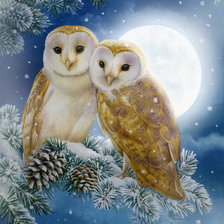 Схема вышивки «snow»