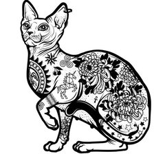 gatto tatoo