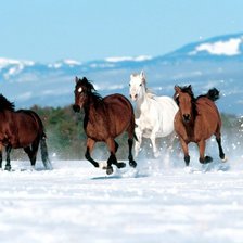 Схема вышивки «Четыре лошади»