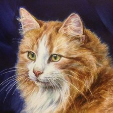 Схема вышивки «котик»