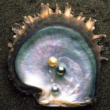 Схема вышивки «Перламутр»