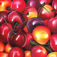 Схема вышивки «№1982936»