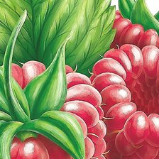 Схема вышивки «№1982943»