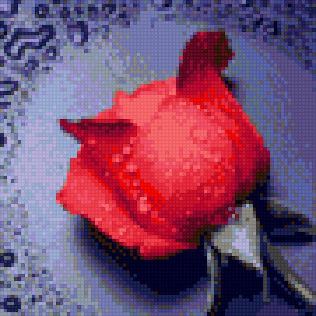 красная роза - предпросмотр