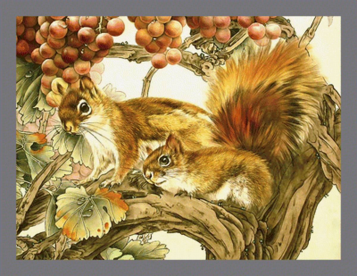 Серия "Грызуны" - грызуны, белки, животные - предпросмотр