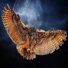 Схема вышивки «птицы»