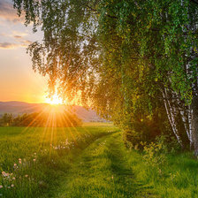 Схема вышивки «№1983535»