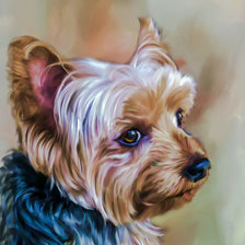 Схема вышивки «Cairn Terrier Dog.»