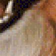 Предпросмотр схемы вышивки «Collie Dog.» (№1983722)