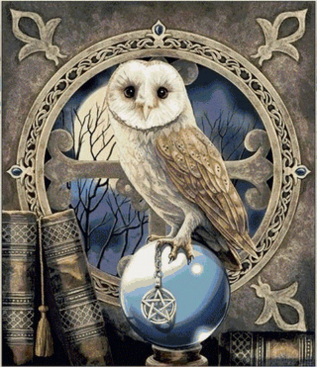 Сова - мудрость, птицы, сова, книги - предпросмотр