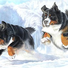 Схема вышивки «№1983810»