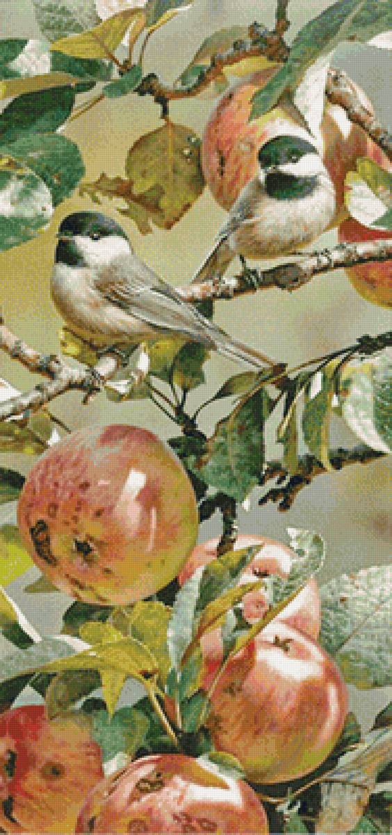 Птички на ветке - предпросмотр