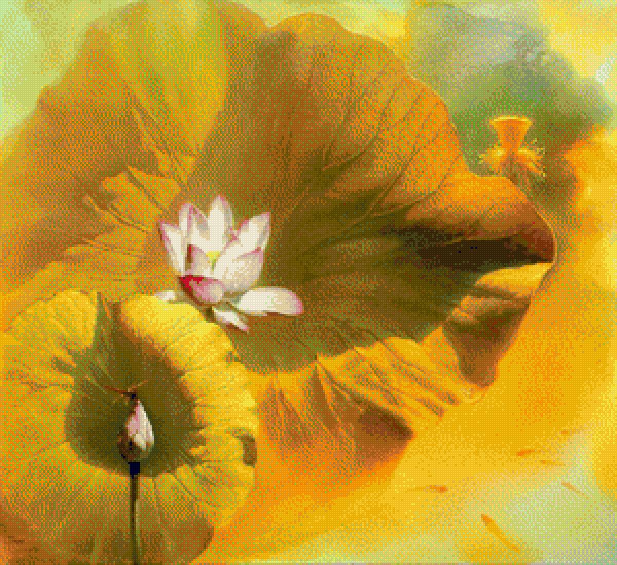 Лотос - предпросмотр