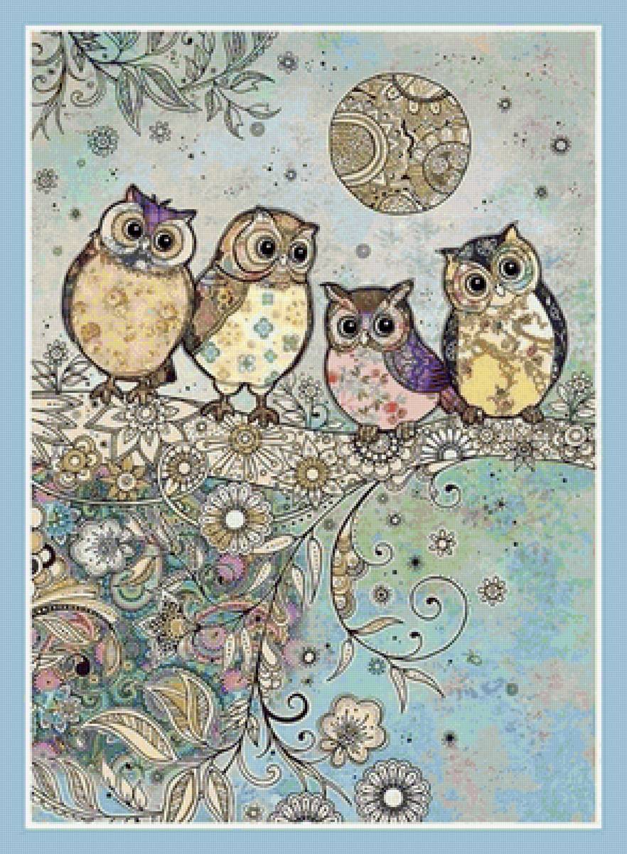 Сова - красивые картинки - предпросмотр