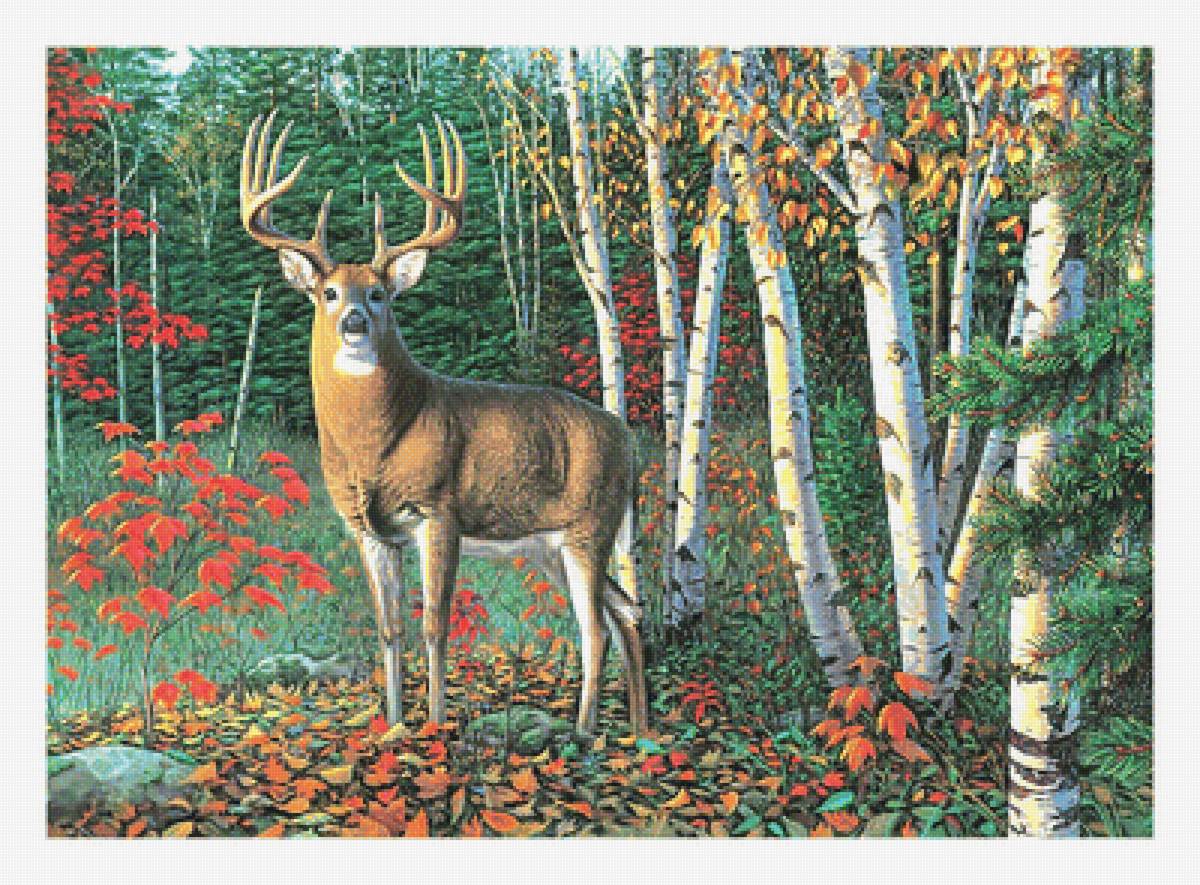Олень в осеннем лесу. - олень, животные, пейзаж, осень, роща, лес - предпросмотр